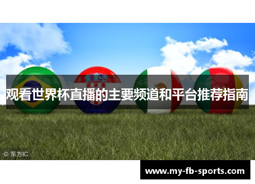观看世界杯直播的主要频道和平台推荐指南