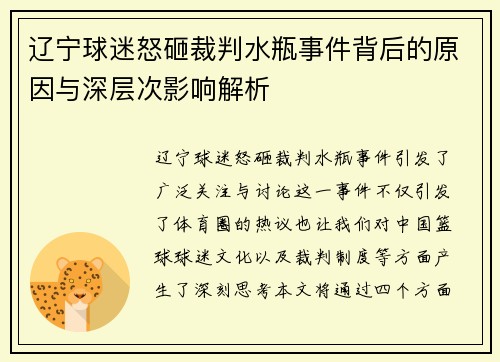 辽宁球迷怒砸裁判水瓶事件背后的原因与深层次影响解析