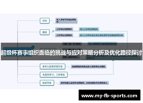 超级杯赛事组织面临的挑战与应对策略分析及优化路径探讨