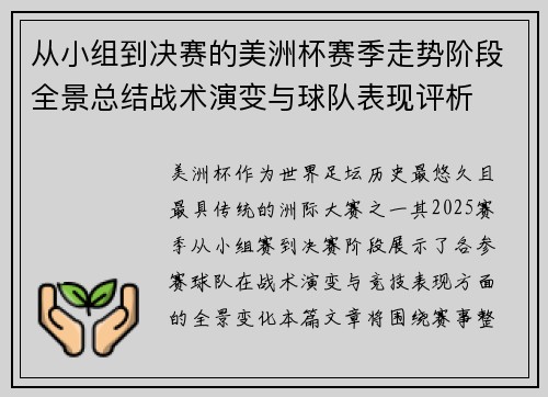 从小组到决赛的美洲杯赛季走势阶段全景总结战术演变与球队表现评析